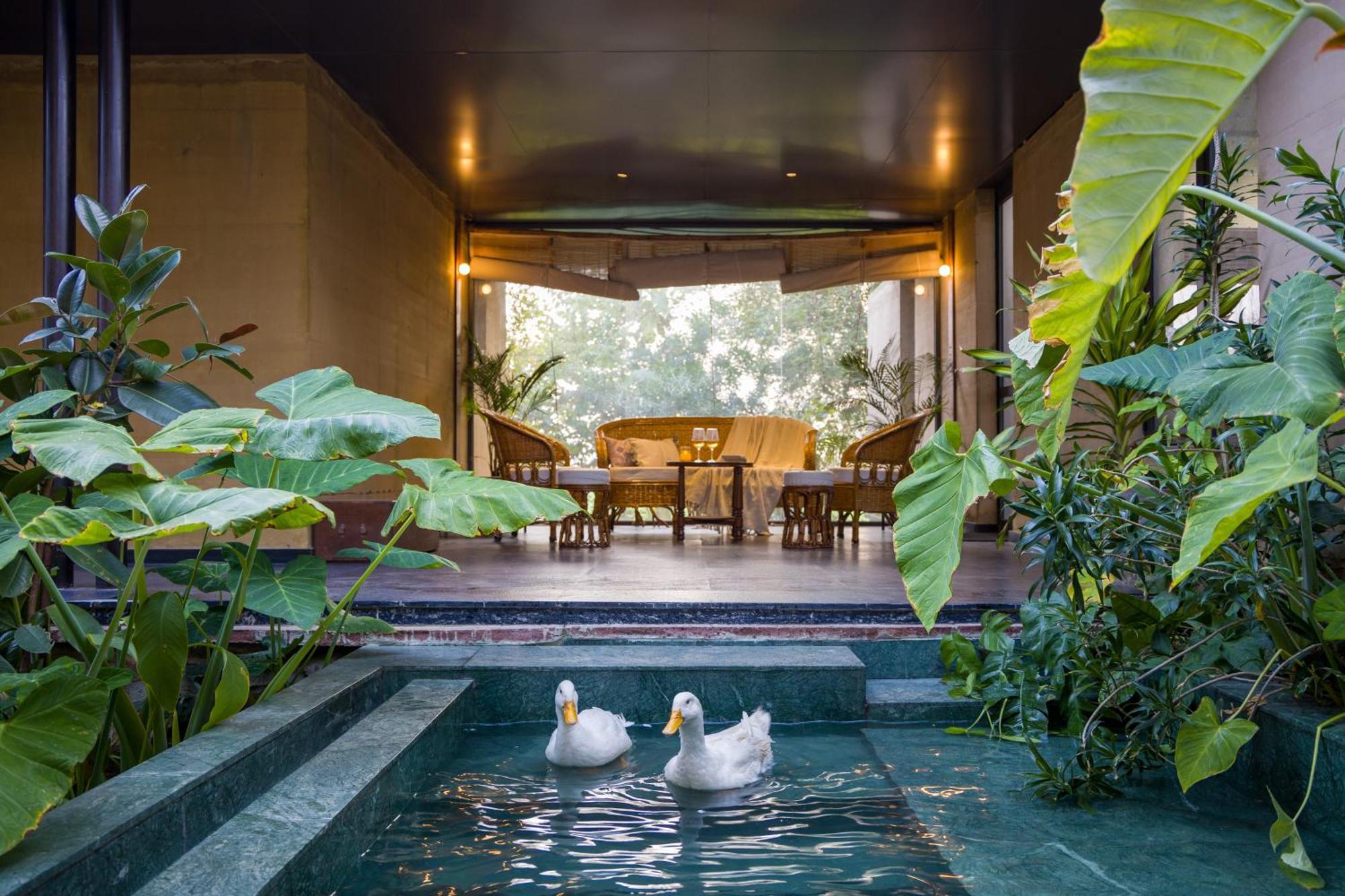 Elivaas Hari Bagh 4 Bhk Villa With Gaming Zone & Art Nook ジャイプール エクステリア 写真