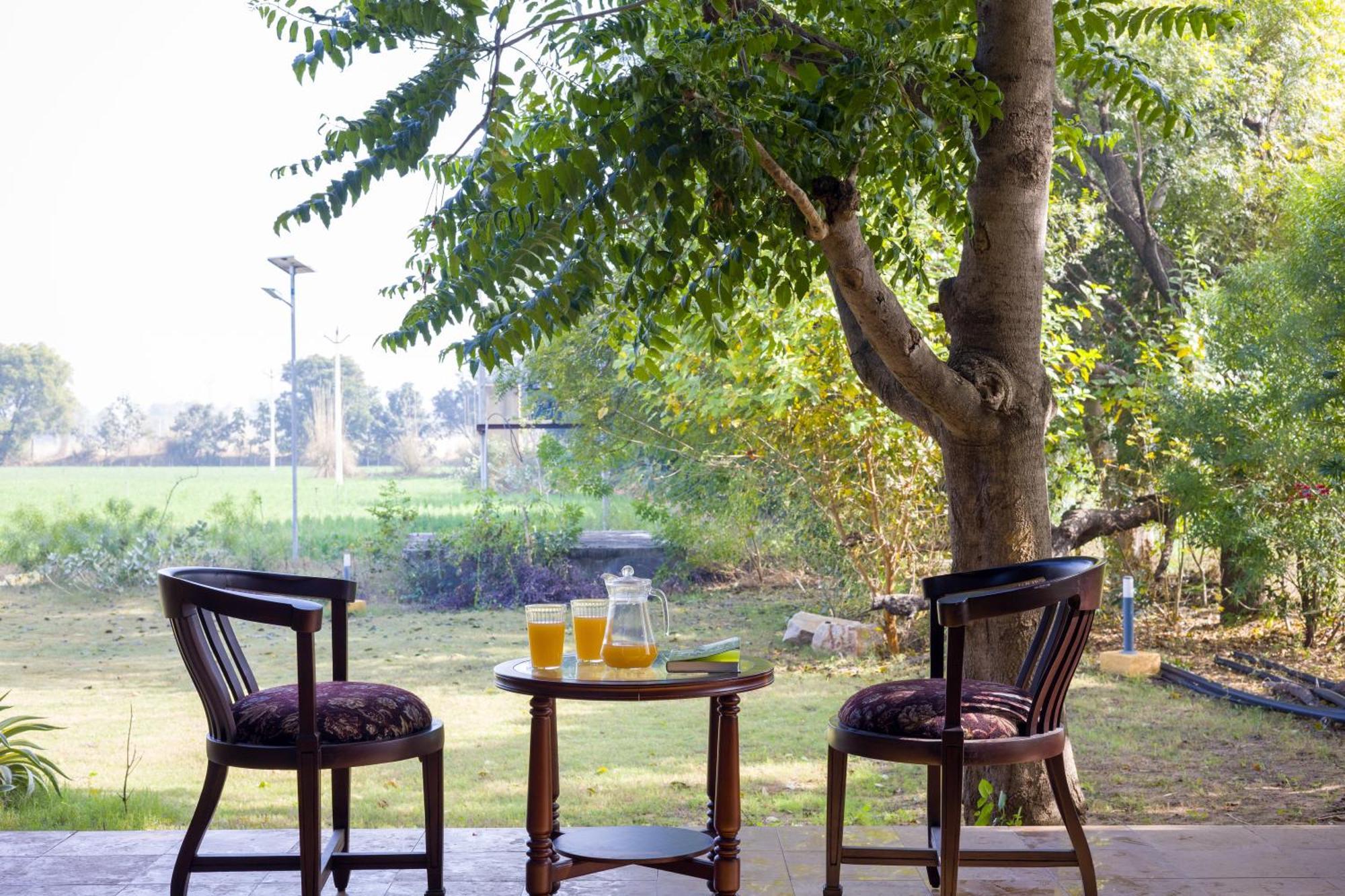 Elivaas Hari Bagh 4 Bhk Villa With Gaming Zone & Art Nook ジャイプール エクステリア 写真